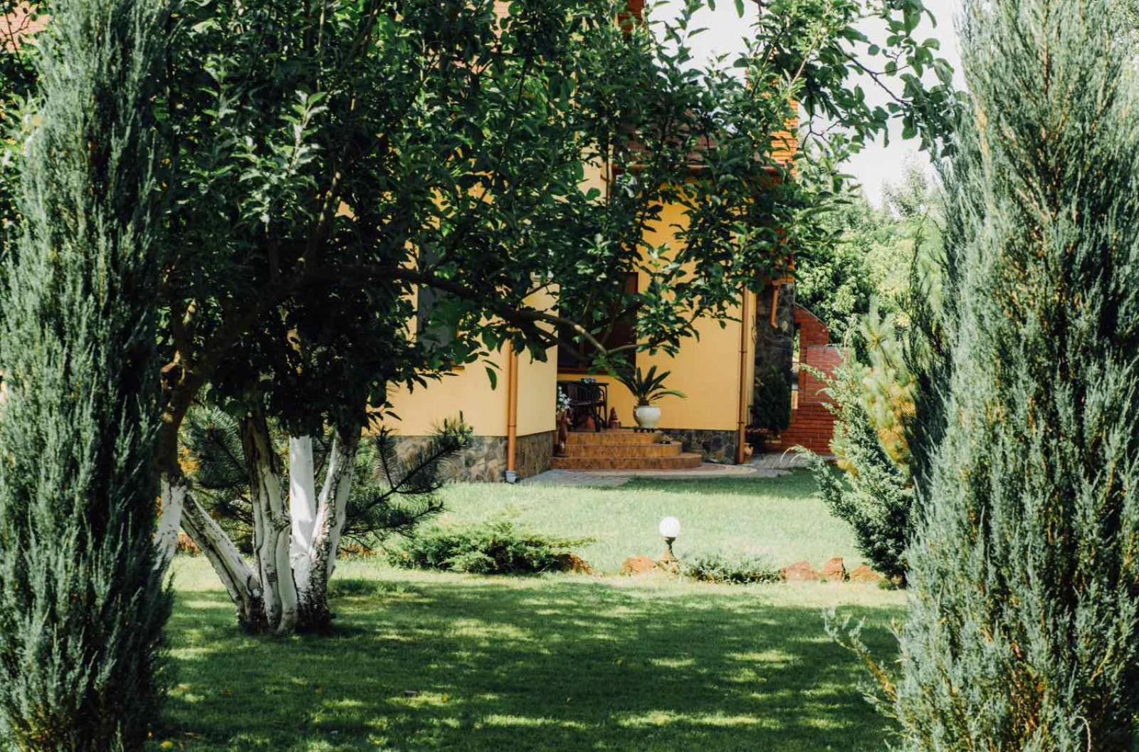 Villa Fenix Berehove  Exteriör bild